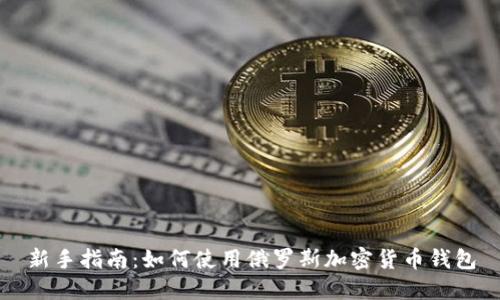 新手指南：如何使用俄羅斯加密貨幣錢(qián)包
