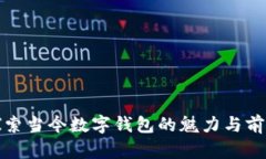 探索當今數字錢(qián)包的魅力