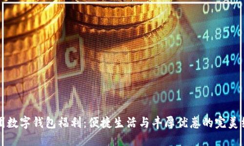 美團數字錢(qián)包福利：便捷生活與豐厚優(yōu)惠的完美結合