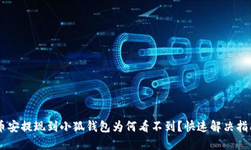 幣安提現(xiàn)到小狐錢(qián)包為何看不到？快速解決指南