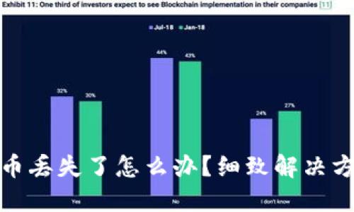 小狐錢包幣丟失了怎么辦？細(xì)致解決方案大揭秘