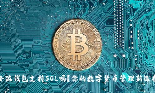 小狐錢包支持SOL嗎？你的數(shù)字貨幣管理新選擇