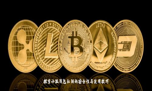 探索小狐錢(qián)包私鑰的安全性與使用技巧