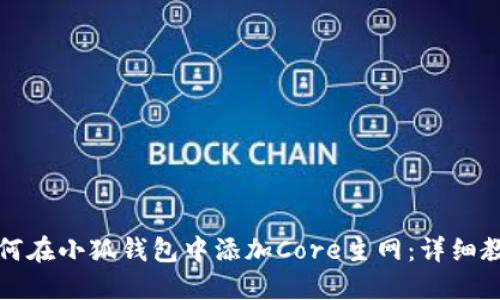 如何在小狐錢包中添加Core主網(wǎng)：詳細教程