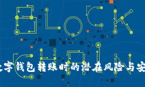 小心！數(shù)字錢包轉(zhuǎn)賬時(shí)的潛在風(fēng)險(xiǎn)與安全措施