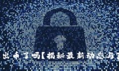 小狐錢(qián)包出幣了嗎？揭秘