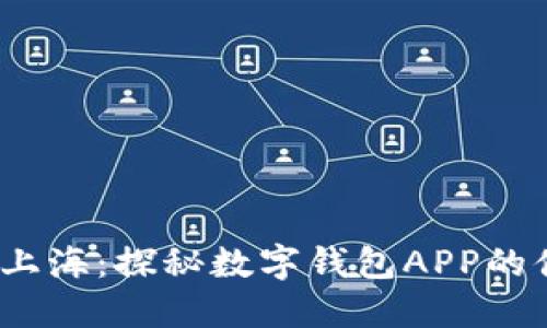 2023年上海：探秘數(shù)字錢包APP的便捷世界