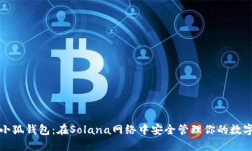 探索小狐錢包：在Solana網絡中安全管理你的數字資產