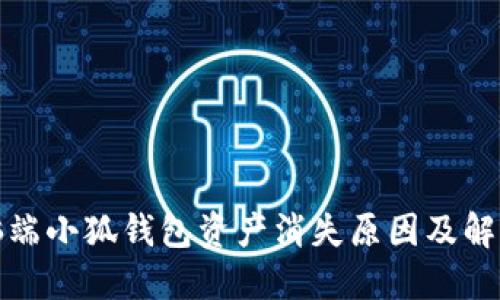 : 電腦端小狐錢包資產消失原因及解決方法