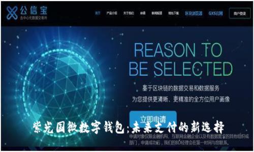 紫光國微數(shù)字錢包：未來支付的新選擇